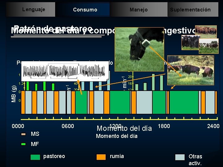 Lenguaje Consumo Manejo Suplementación Patrón dedel pastoreo Momento día y comportamiento ingestivo Tasa de