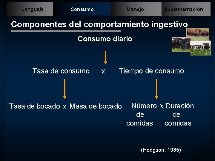 Lenguaje Consumo Manejo Suplementación Componentes del comportamiento ingestivo Consumo diario Tasa de consumo x