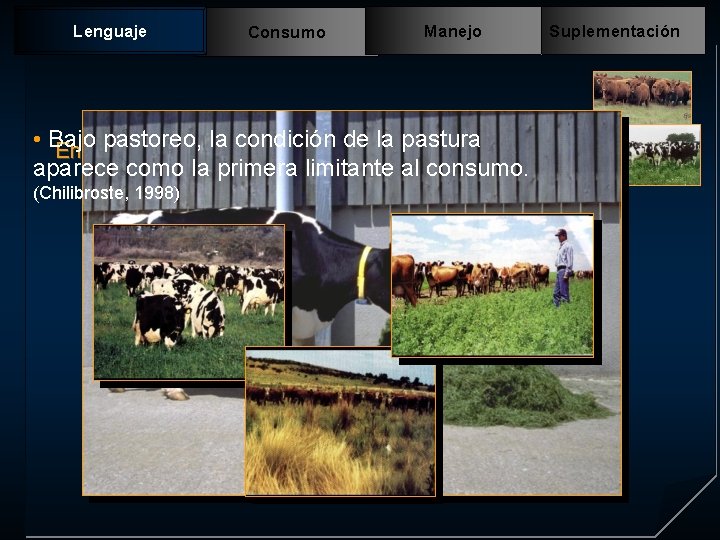 Lenguaje Consumo Manejo • Bajo pastoreo, la condición de la pastura En pastoreo aparece