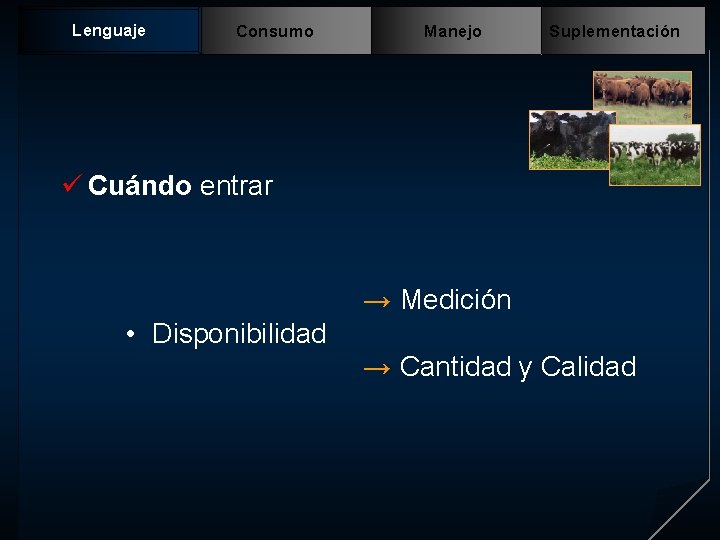 Lenguaje Consumo Manejo Suplementación ü Cuándo entrar → Medición • Disponibilidad → Cantidad y