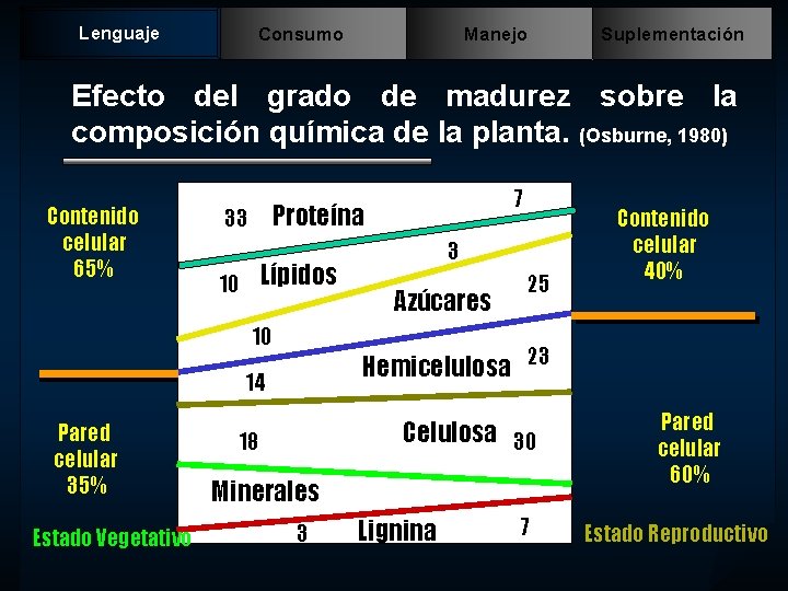 Lenguaje Consumo Manejo Suplementación Efecto del grado de madurez sobre la composición química de