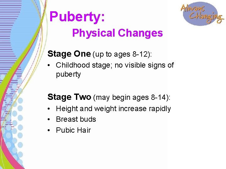 Puberty: Physical Changes Stage One (up to ages 8 -12): • Childhood stage; no