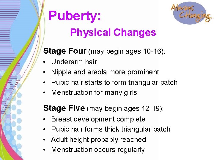 Puberty: Physical Changes Stage Four (may begin ages 10 -16): • • Underarm hair