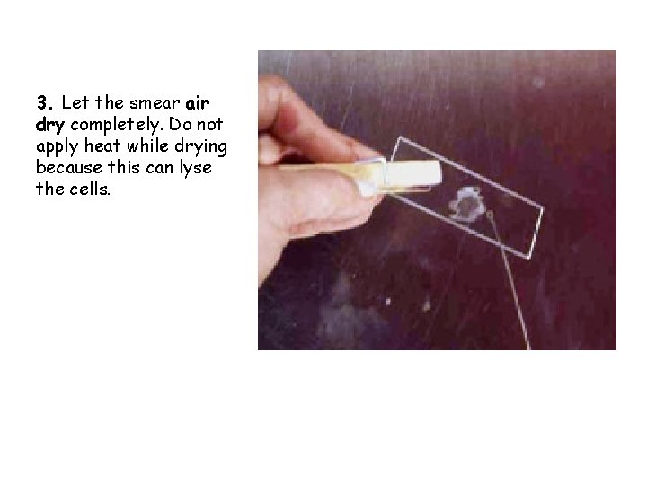 3. Let the smear air dry completely. Do not apply heat while drying because