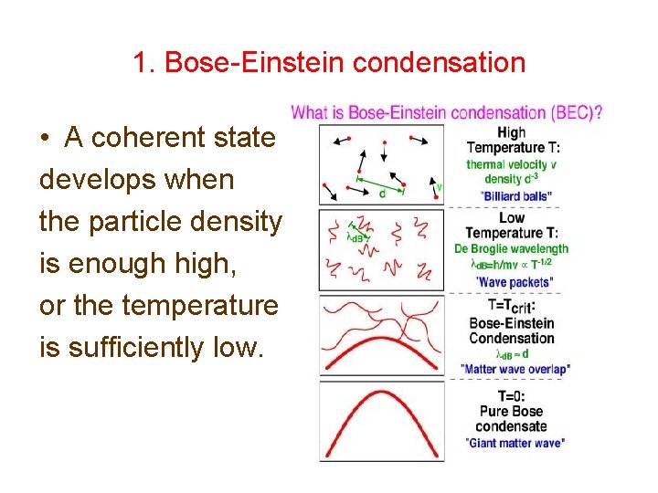 1. Bose-Einstein condensation • A coherent state develops when the particle density is enough