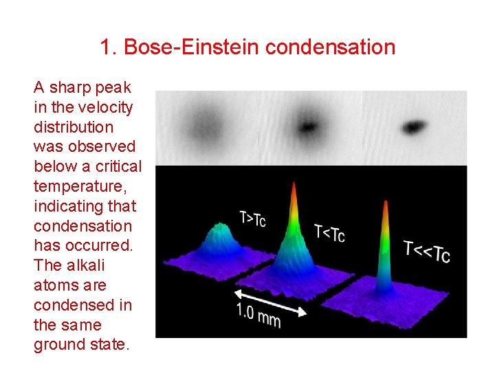 Testing The BoseEinstein Condensate Dark Matter Model With