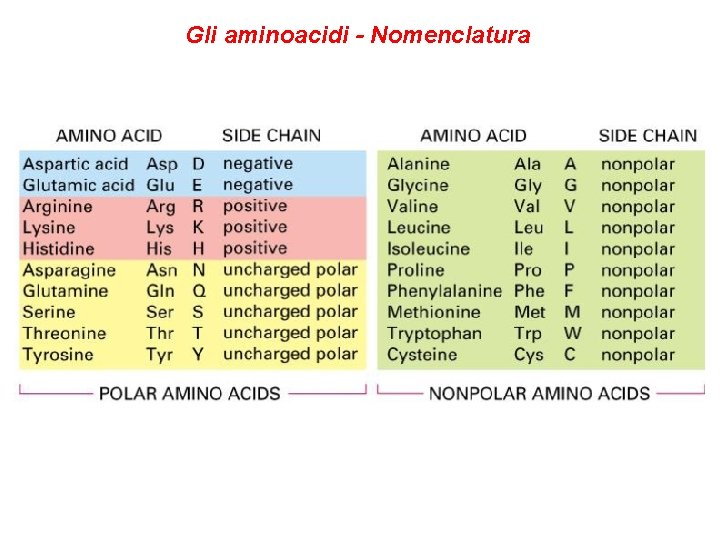 Gli aminoacidi - Nomenclatura 