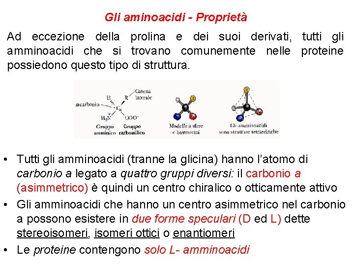 Gli aminoacidi - Proprietà Ad eccezione della prolina e dei suoi derivati, tutti gli