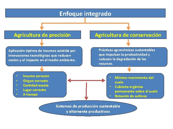 Enfoque integrado Agricultura de precisión Aplicación óptima de insumos asistida por innovaciones tecnológicas que