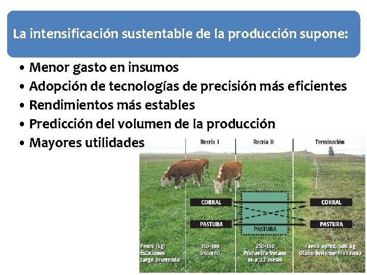 La intensificación sustentable de la producción supone: • Menor gasto en insumos • Adopción