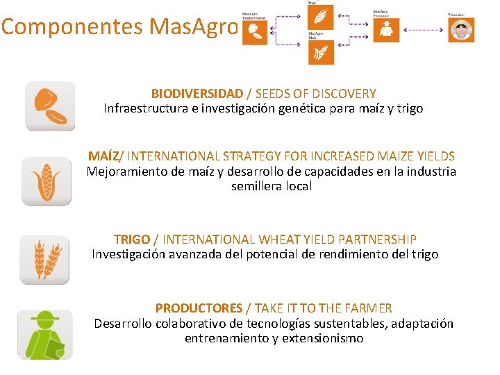 Componentes Mas. Agro BIODIVERSIDAD / SEEDS OF DISCOVERY Infraestructura e investigación genética para maíz