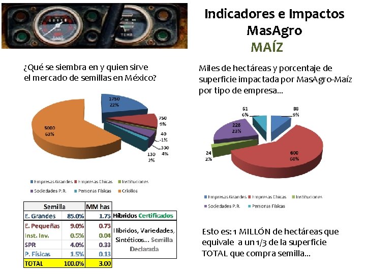 Indicadores e Impactos Mas. Agro MAÍZ ¿Qué se siembra en y quien sirve el