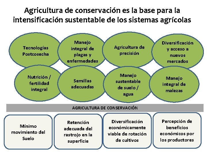 Agricultura de conservación es la base para la intensificación sustentable de los sistemas agrícolas