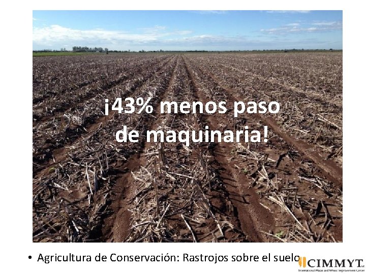 ¡ 43% menos paso de maquinaria! • Agricultura de Conservación: Rastrojos sobre el suelo