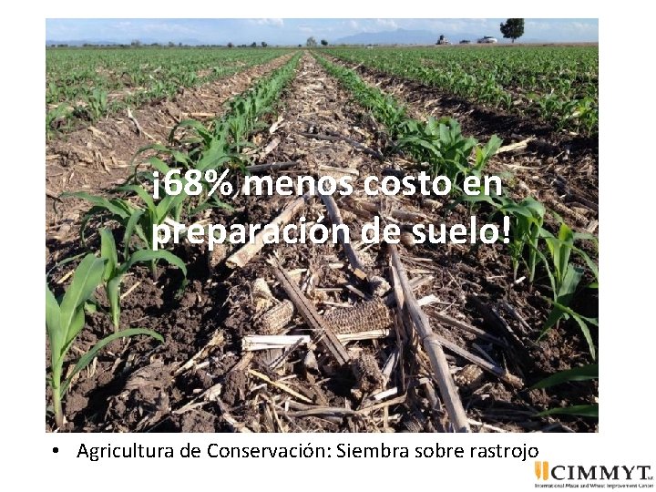 ¡ 68% menos costo en preparación de suelo! • Agricultura de Conservación: Siembra sobre