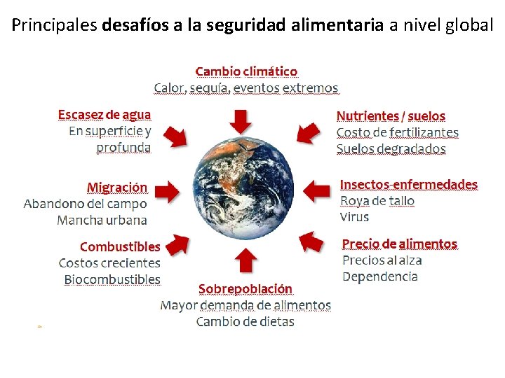 Principales desafíos a la seguridad alimentaria a nivel global 