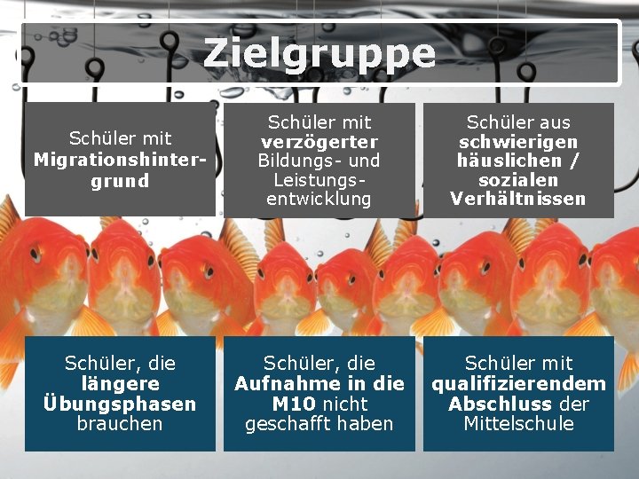 Zielgruppe Schüler mit Migrationshintergrund Schüler mit verzögerter Bildungs- und Leistungsentwicklung Schüler aus schwierigen häuslichen