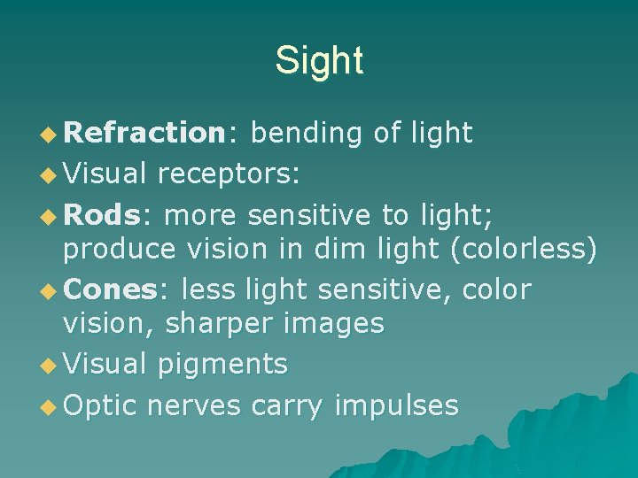 Sight u Refraction: bending of light u Visual receptors: u Rods: more sensitive to