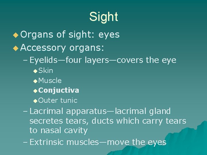 Sight u Organs of sight: eyes u Accessory organs: – Eyelids—four layers—covers the eye