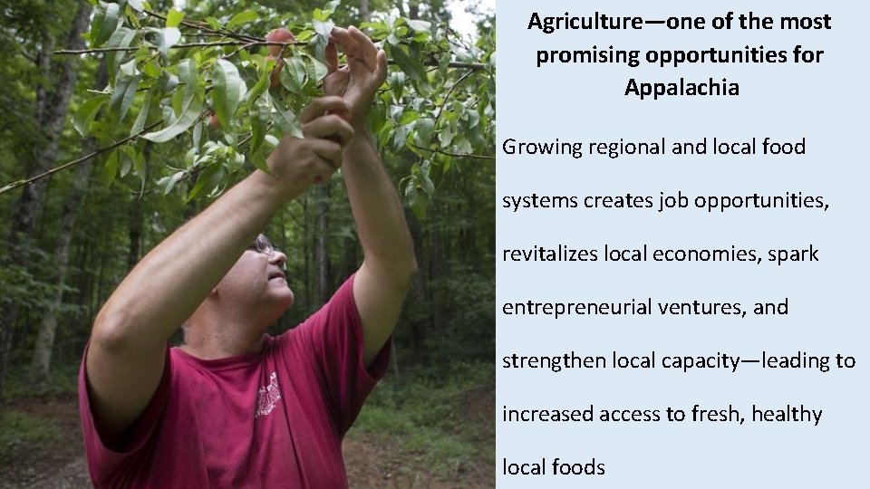 Agriculture—one of the most promising opportunities for Appalachia Growing regional and local food systems