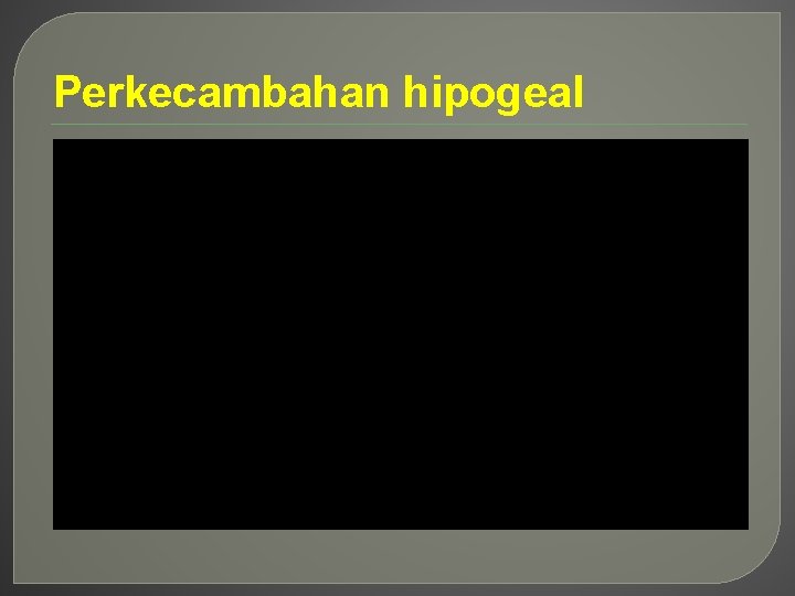 Perkecambahan hipogeal 