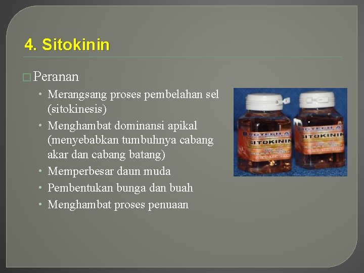 4. Sitokinin � Peranan • Merangsang proses pembelahan sel • • (sitokinesis) Menghambat dominansi 4. Sitokinin � Peranan • Merangsang proses pembelahan sel • • (sitokinesis) Menghambat dominansi