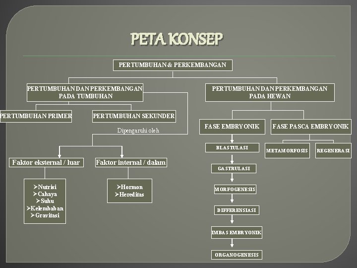 PETA KONSEP PERTUMBUHAN & PERKEMBANGAN PERTUMBUHAN DAN PERKEMBANGAN PADA TUMBUHAN PERTUMBUHAN PRIMER PERTUMBUHAN DAN PETA KONSEP PERTUMBUHAN & PERKEMBANGAN PERTUMBUHAN DAN PERKEMBANGAN PADA TUMBUHAN PERTUMBUHAN PRIMER PERTUMBUHAN DAN