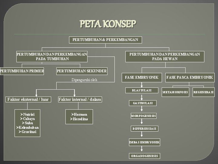 PETA KONSEP PERTUMBUHAN & PERKEMBANGAN PERTUMBUHAN DAN PERKEMBANGAN PADA TUMBUHAN PERTUMBUHAN PRIMER PERTUMBUHAN DAN