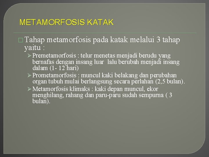 METAMORFOSIS KATAK � Tahap yaitu : metamorfosis pada katak melalui 3 tahap Ø Premetamorfosis