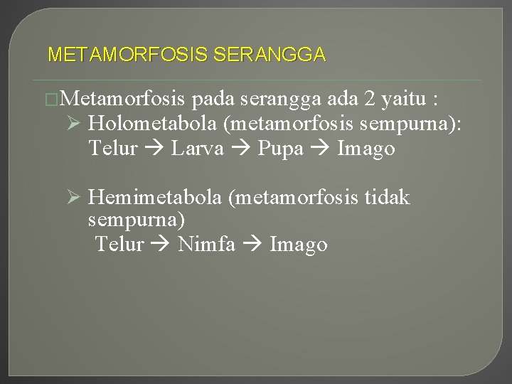 METAMORFOSIS SERANGGA �Metamorfosis pada serangga ada 2 yaitu : Ø Holometabola (metamorfosis sempurna): Telur