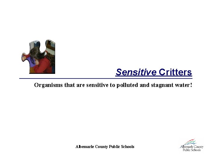 Sensitive Critters Organisms that are sensitive to polluted and stagnant water! Albemarle County Public