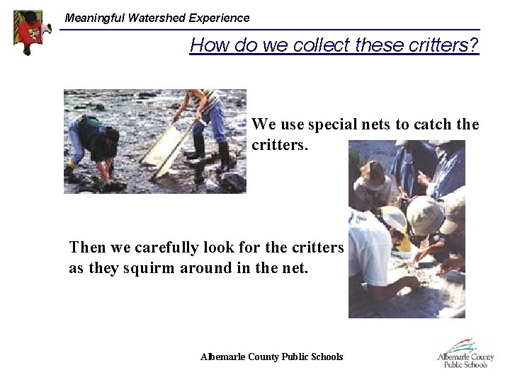 Meaningful Watershed Experience How do we collect these critters? We use special nets to