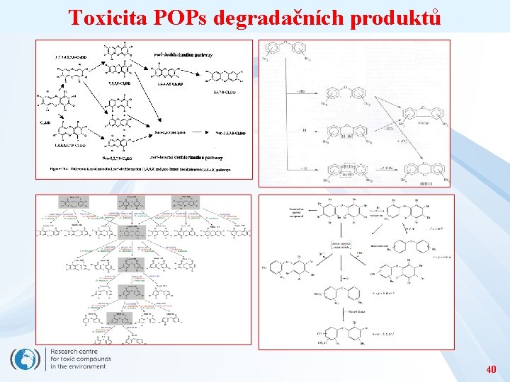 Toxicita POPs degradačních produktů 40 