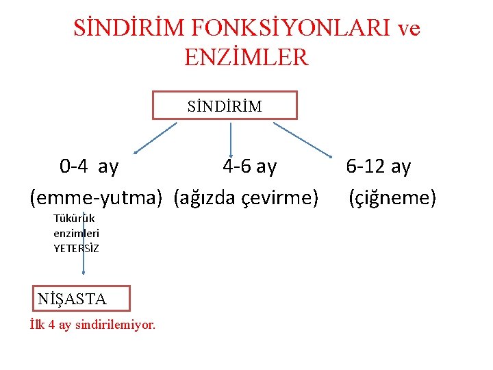 SİNDİRİM FONKSİYONLARI ve ENZİMLER SİNDİRİM 0 -4 ay 4 -6 ay (emme-yutma) (ağızda çevirme)