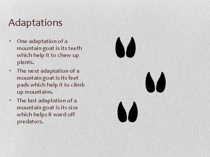 Adaptations • One adaptation of a mountain goat is its teeth which help it