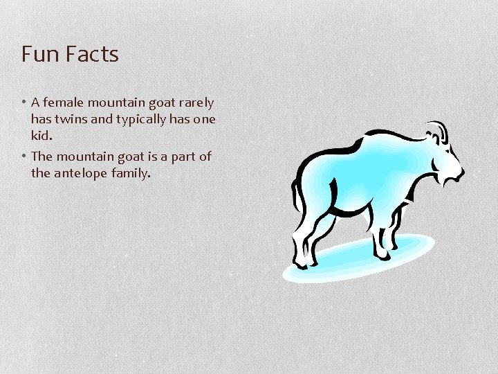 Fun Facts • A female mountain goat rarely has twins and typically has one
