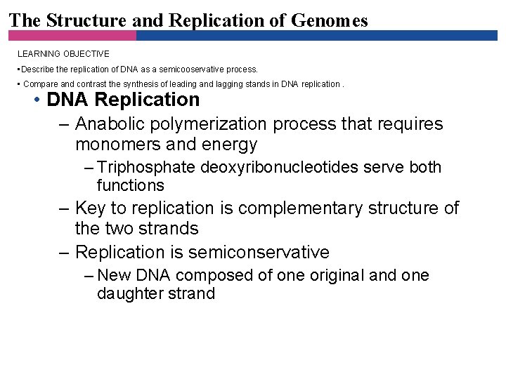 The Structure and Replication of Genomes LEARNING OBJECTIVE • Describe the replication of DNA