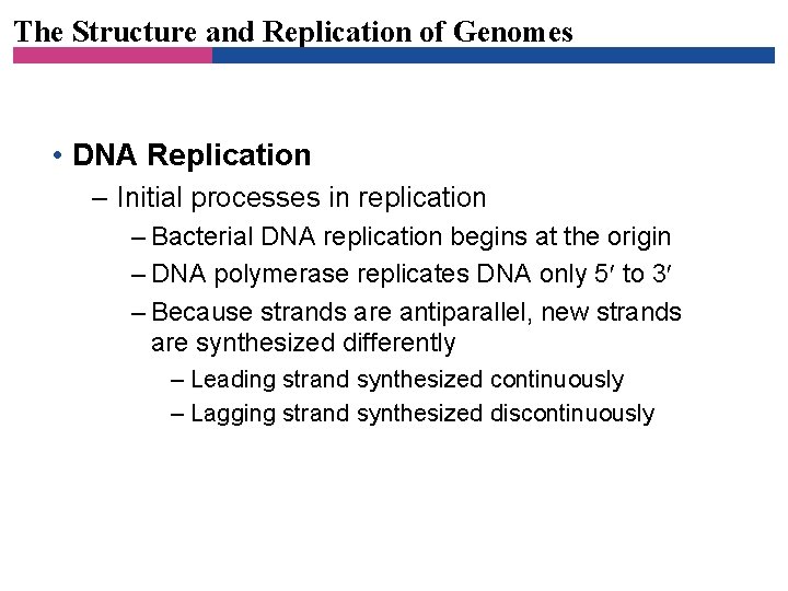 The Structure and Replication of Genomes • DNA Replication – Initial processes in replication
