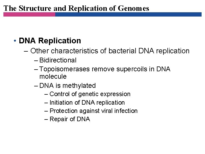 The Structure and Replication of Genomes • DNA Replication – Other characteristics of bacterial
