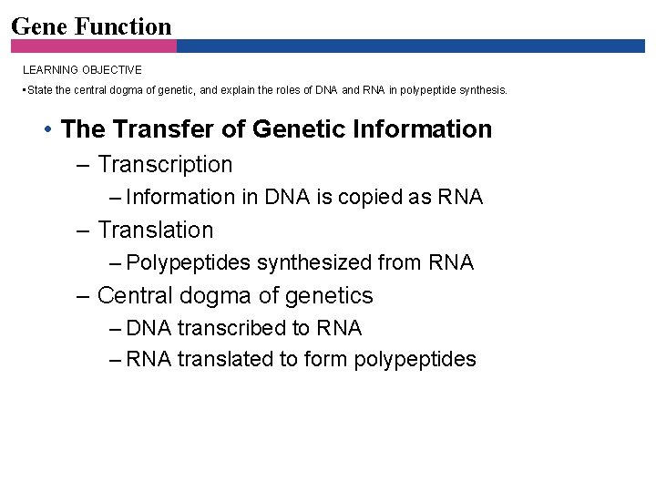 Gene Function LEARNING OBJECTIVE • State the central dogma of genetic, and explain the