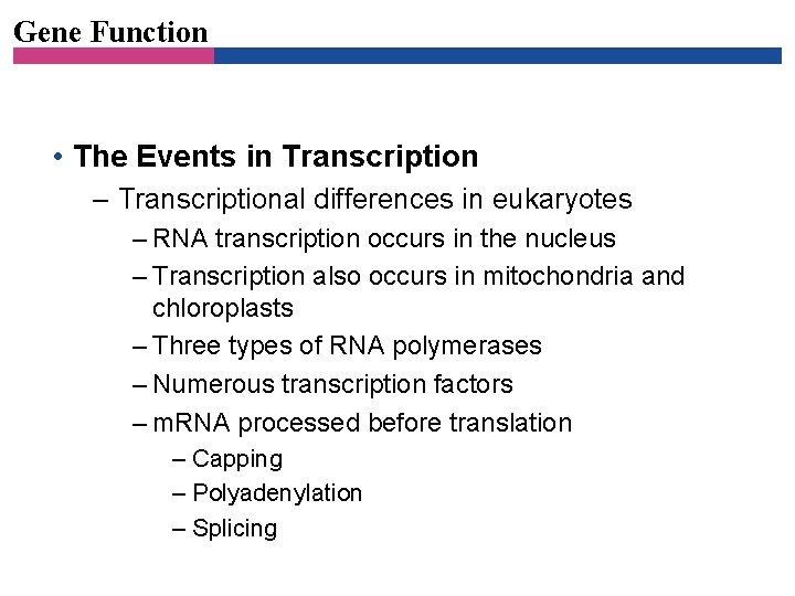 Gene Function • The Events in Transcription – Transcriptional differences in eukaryotes – RNA