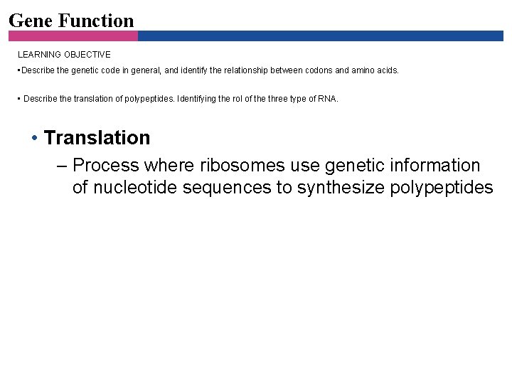 Gene Function LEARNING OBJECTIVE • Describe the genetic code in general, and identify the