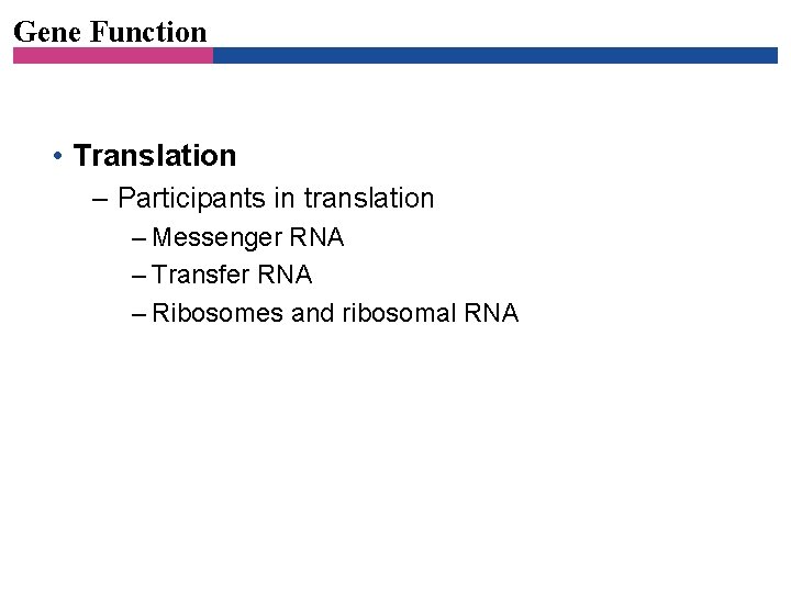 Gene Function • Translation – Participants in translation – Messenger RNA – Transfer RNA