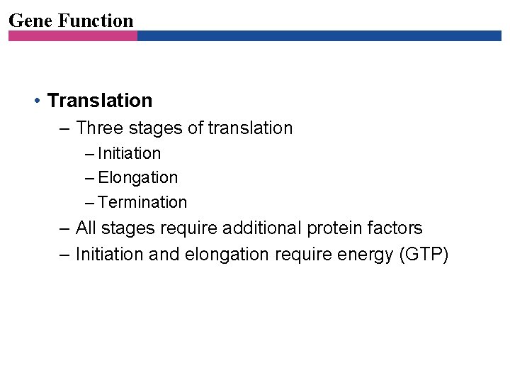 Gene Function • Translation – Three stages of translation – Initiation – Elongation –