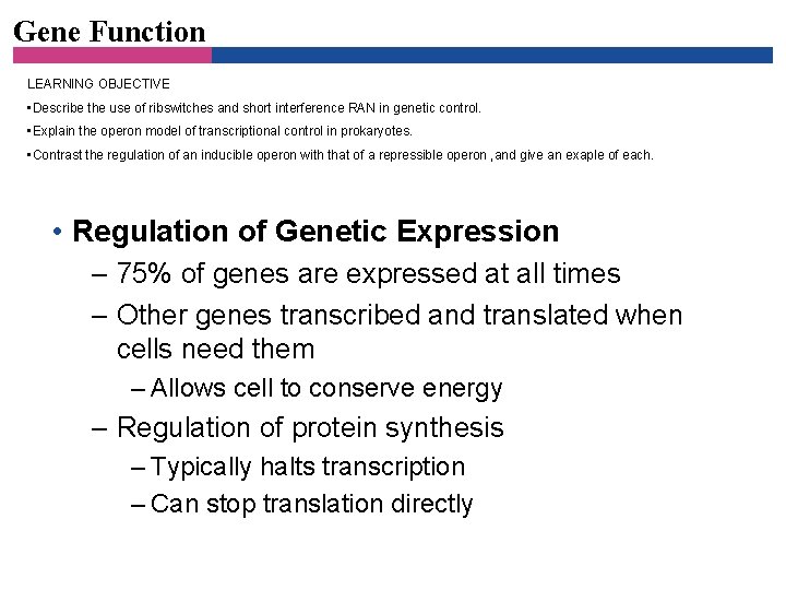 Gene Function LEARNING OBJECTIVE • Describe the use of ribswitches and short interference RAN