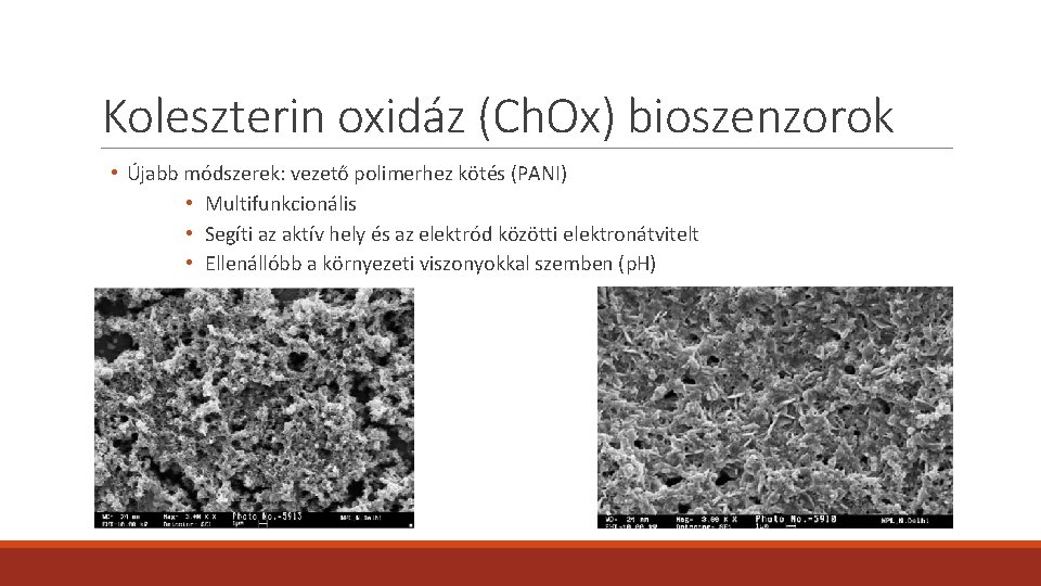 Koleszterin oxidáz (Ch. Ox) bioszenzorok • Újabb módszerek: vezető polimerhez kötés (PANI) • Multifunkcionális Koleszterin oxidáz (Ch. Ox) bioszenzorok • Újabb módszerek: vezető polimerhez kötés (PANI) • Multifunkcionális