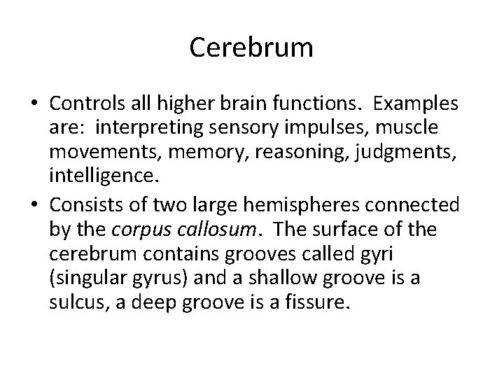 Cerebrum • Controls all higher brain functions. Examples are: interpreting sensory impulses, muscle movements,