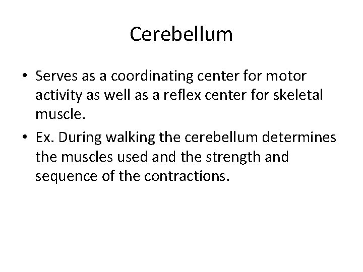 Cerebellum • Serves as a coordinating center for motor activity as well as a