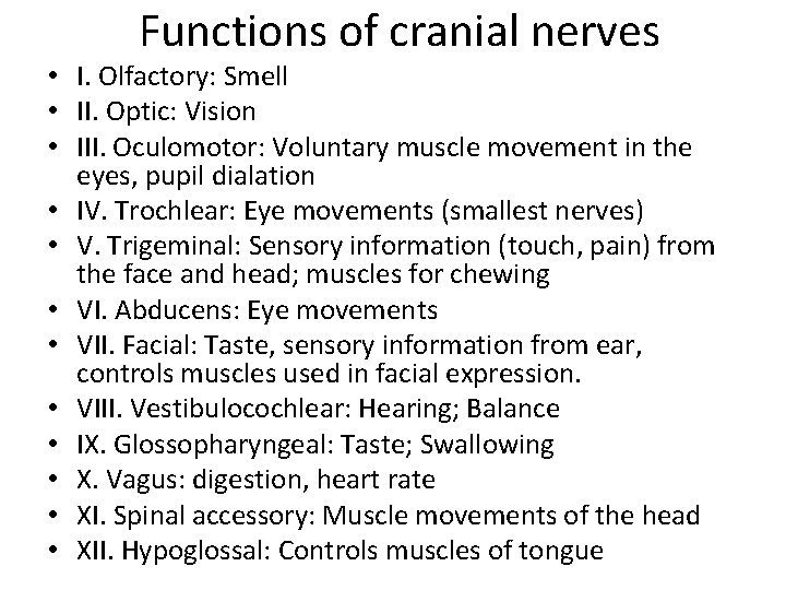 Functions of cranial nerves • I. Olfactory: Smell • II. Optic: Vision • III.