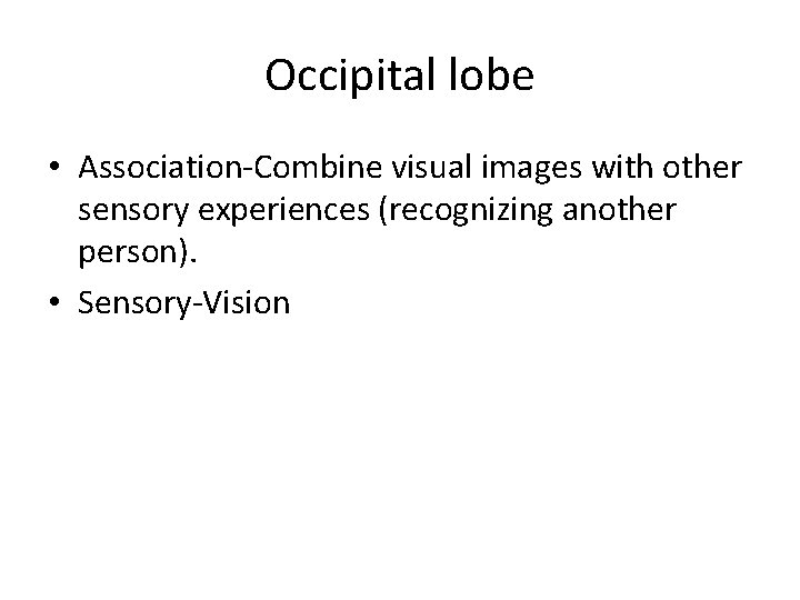 Occipital lobe • Association-Combine visual images with other sensory experiences (recognizing another person). •